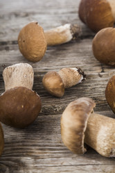 Similar image 13167639