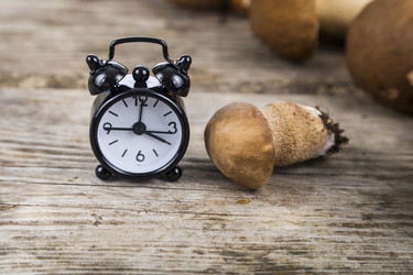 Similar image 13177530