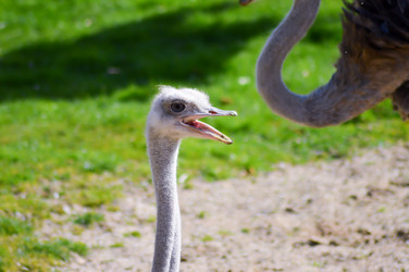 Similar image 13166235