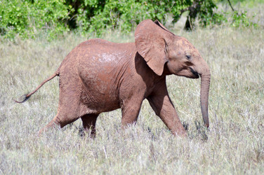 Similar image 13166240