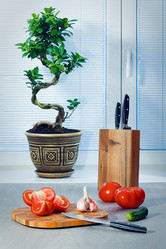 Similar image 13188999