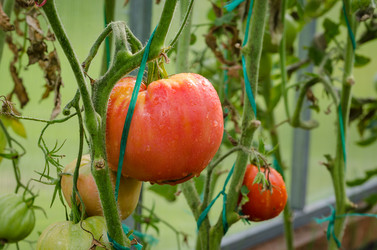 Similar image 13166311