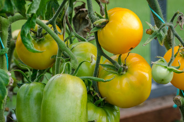 Similar image 13166313