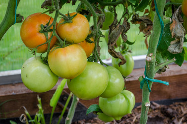 Similar image 13166314