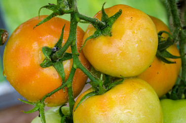 Similar image 13166315