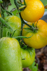 Similar image 13166316