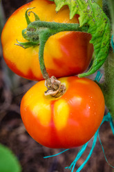 Similar image 13166318