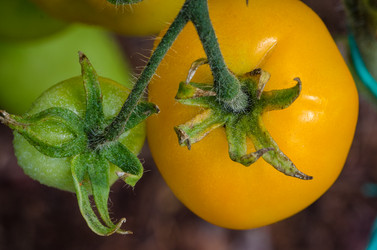 Similar image 13166319