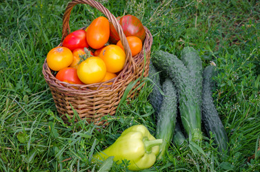 Similar image 13166321