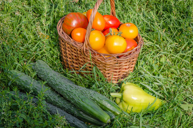 Similar image 13166322