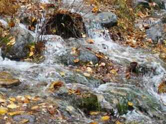 Similar image 13168238