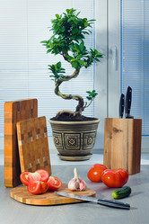 Similar image 13189000