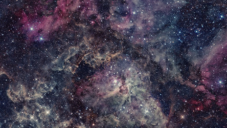 Similar image 13171766