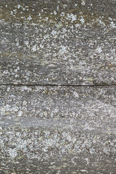 Similar image 13170062