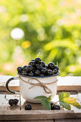 Similar image 13170071