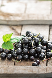 Similar image 13170072