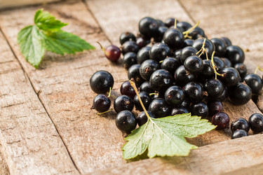 Similar image 13170073