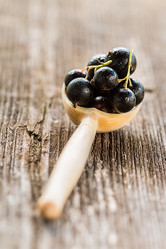 Similar image 13170075