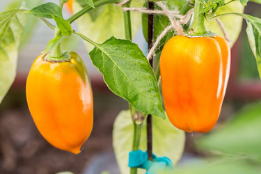 Similar image 13170076