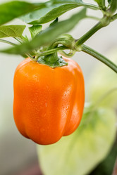 Similar image 13170077