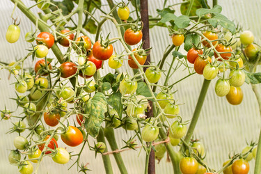 Similar image 13170078