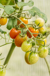 Similar image 13170079