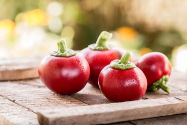 Similar image 13170094