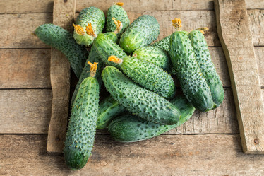 Similar image 13170096