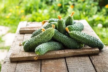 Similar image 13170097