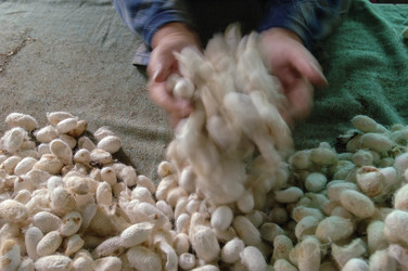 Similar image 13169069