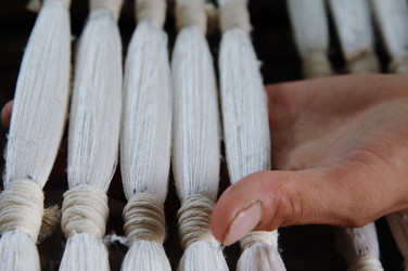 Similar image 13169082