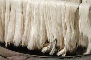 Similar image 13169087