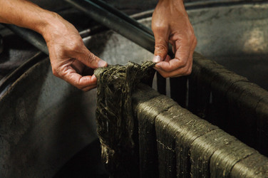 Similar image 13169090