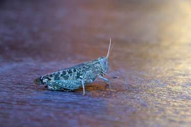 Similar image 13171072