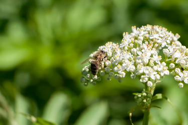 Similar image 13171091