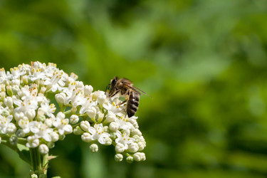 Similar image 13171092