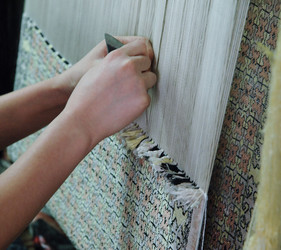 Similar image 13169078