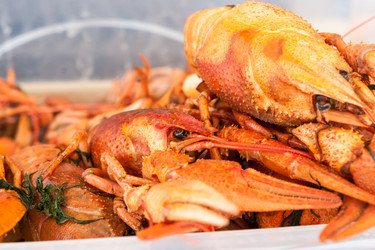 Similar image 13169628