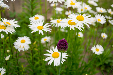 Similar image 13176959