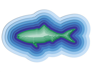 Similar image 13169635