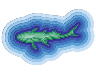 Similar image 13169638