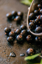 Similar image 13180704