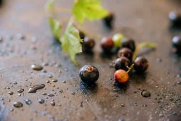 Similar image 13180708