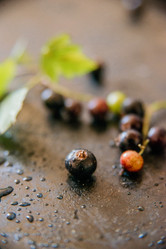 Similar image 13180702