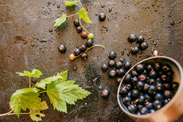 Similar image 13180703