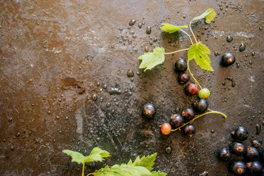 Similar image 13180705