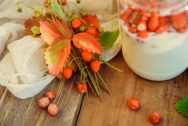 Similar image 13180827