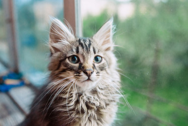 Similar image 13179776