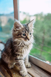 Similar image 13179781