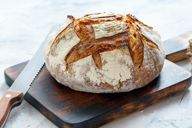 Similar image 13169296